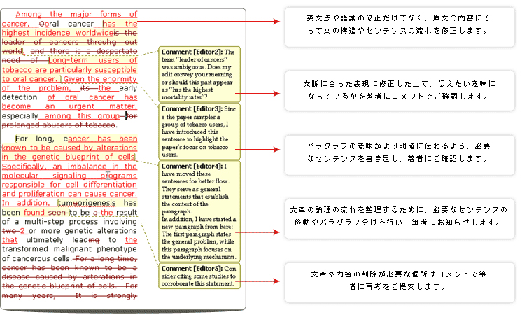 プレミアム英文校正プラスのサンプル