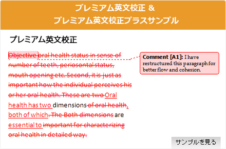 プレミアム英文校正プラスのサンプル